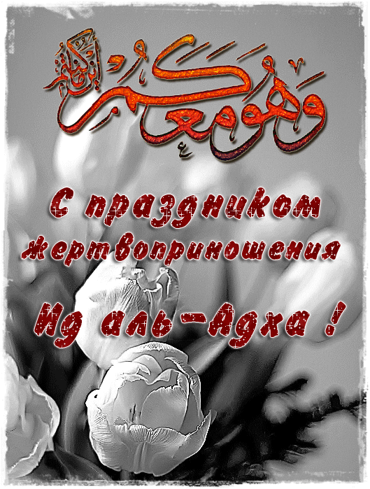 Жину коненэ сценарий Жину коненэ сценарий