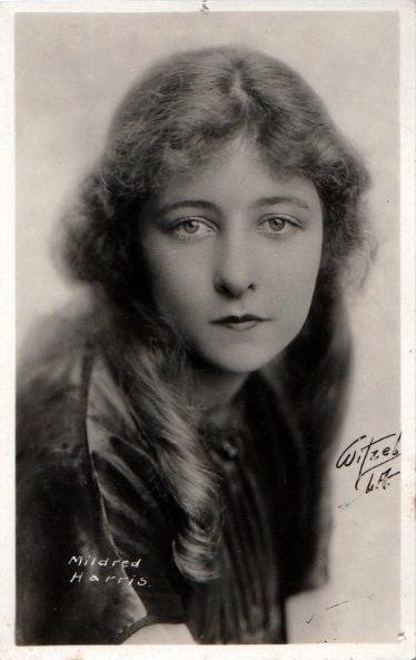Mildred Harris salary