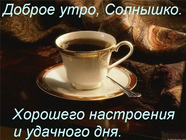 http://img0.liveinternet.ru/images/attach/c/0/48/59/48059532_123379522089297.jpg