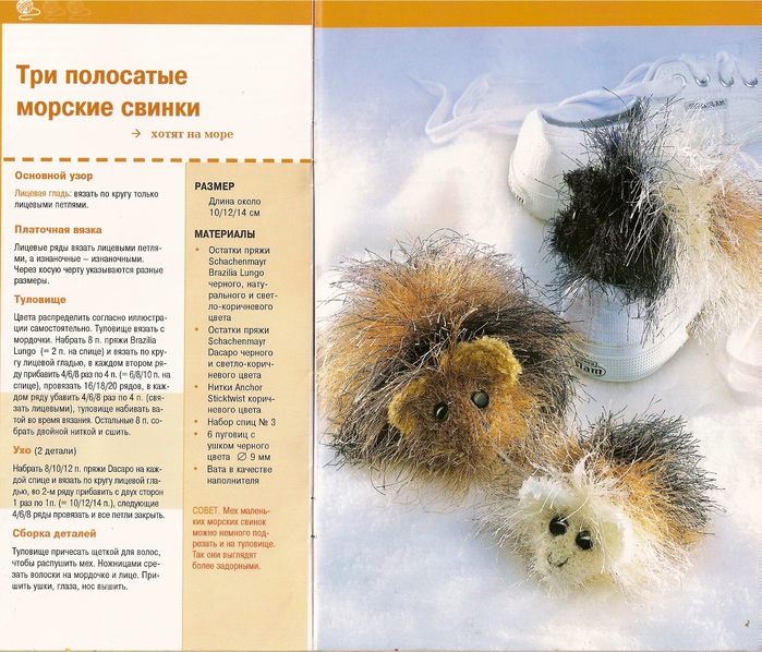 Когда можно вязать морскую свинку Когда можно вязать морскую свинку
