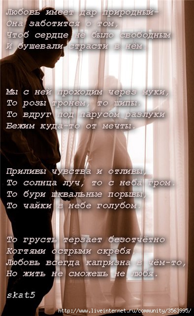 Стих про волосы девушки Стих про волосы девушки
