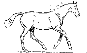  (177x107, 8Kb)