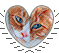  (59x53, 3Kb)