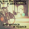  (100x100, 41Kb)