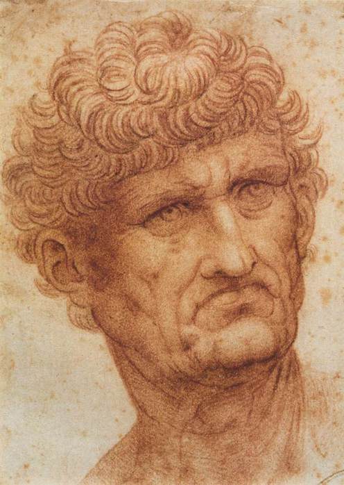 Leonardo_da_Vinci_Head_of_a_Man-Red chalk (496x698, 52Kb)
