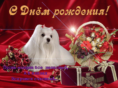 http://img0.liveinternet.ru/images/attach/c/1//49/590/49590020_0_34934_1ce2927c_L.gif