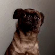  (193x193, 175Kb)