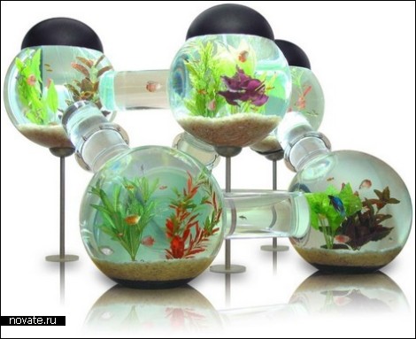Aquarium1 (470x383, 42Kb)