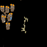 (150x150, 1Kb)