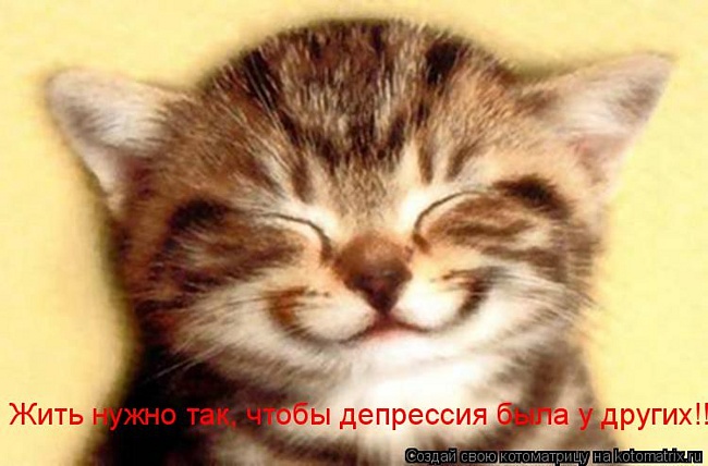 http://img0.liveinternet.ru/images/attach/c/1//50/468/50468128_kot.jpg