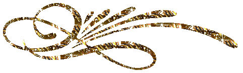 gold2-1 (482x145,  30Kb)