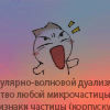  (100x100, 9Kb)