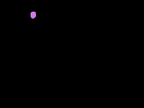 12 (160x120, 13Kb)