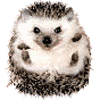  (100x100, 8Kb)