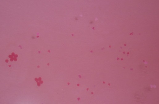 Think Pink. Lush (515x337, 15Kb)