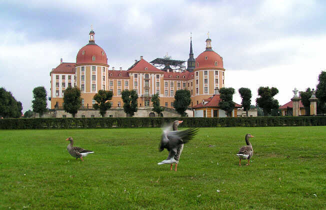 Замок Морицбург (Schloss Moritzburg)-часть 3 32067