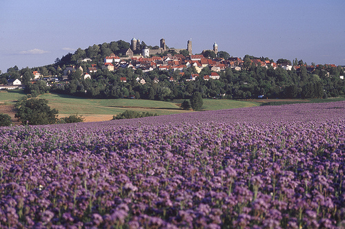 Burg Stolpen-вид внутри 50699