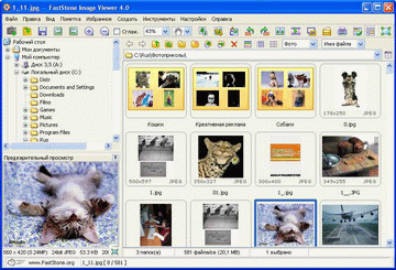 FastStoneImageViewer