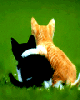  (160x200, 18Kb)