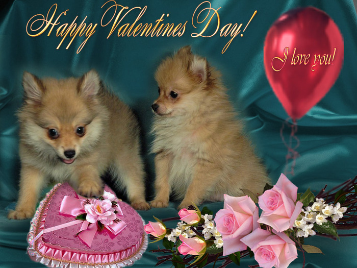 C Днем влюбленных!!! Красивые открытки с собаками. 