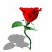  (75x75, 4Kb)