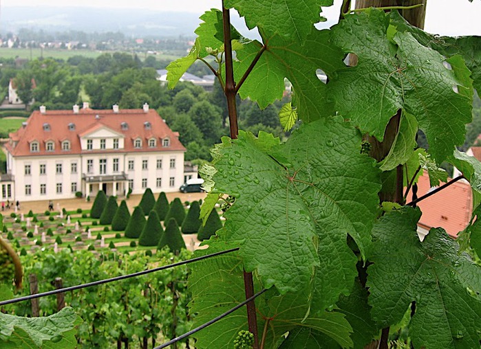 Замок Вакербарт (нем. Schloss Wackerbarth) 73273