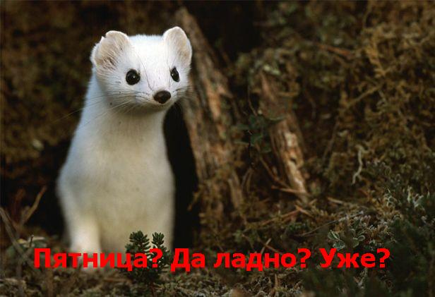  (616x421, 37Kb)