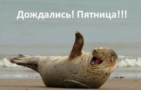  (488x311, 16Kb)