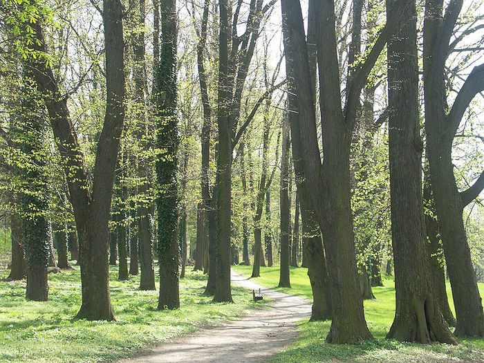 Замок Кробниц (нем. Schloss Krobnitz) 24435