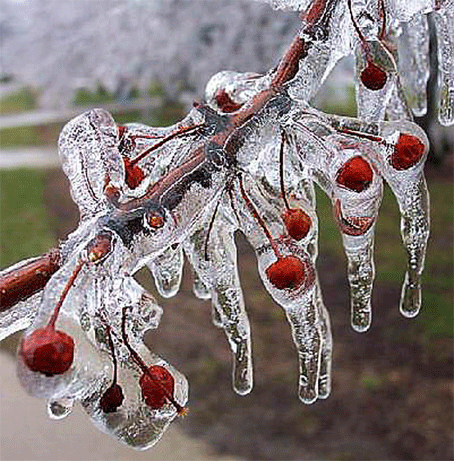 http://img0.liveinternet.ru/images/attach/c/1//55/793/55793636_vesennyaya_kapel.gif