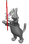  (98x150, 28Kb)