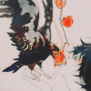 cr3 (100x100, 21 Kb)