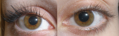 Max Factor. (500x155, 103Kb)