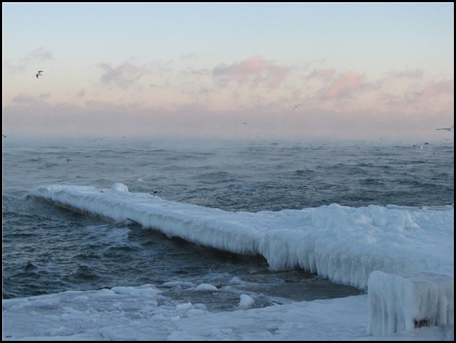 Чёрное море зима 2010