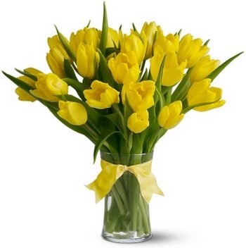yellow_tulips (350x352, 24 Kb)