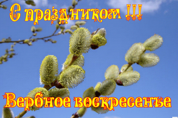 http://img0.liveinternet.ru/images/attach/c/1//56/974/56974876_42421435_verbnoe.gif