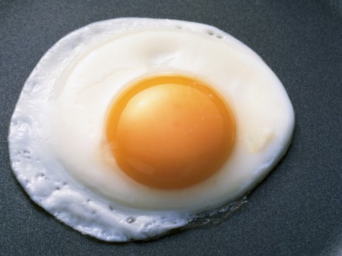 (480x360, 36Kb)