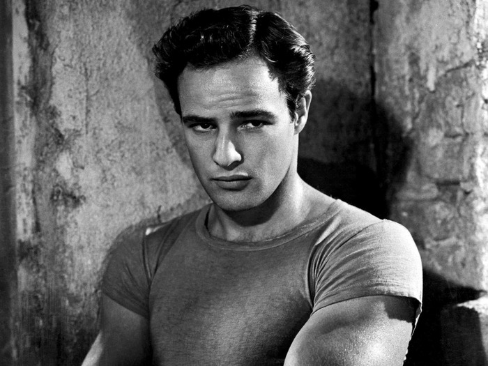 http://img0.liveinternet.ru/images/attach/c/1//57/601/57601717_brando.jpg