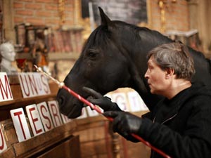 Невзоров учит лошадь чтению. Фото: © Copyright из личного архива Невзорова