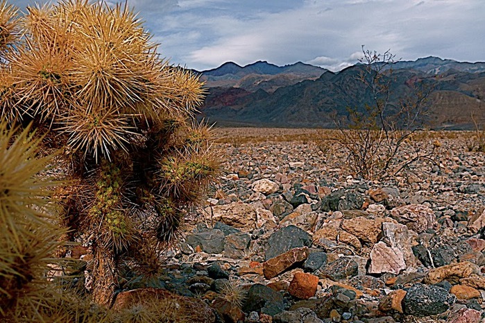 Национальный парк Долина Смерти | Death Valley National Park 41433