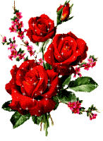 17 (146x200, 16 Kb)