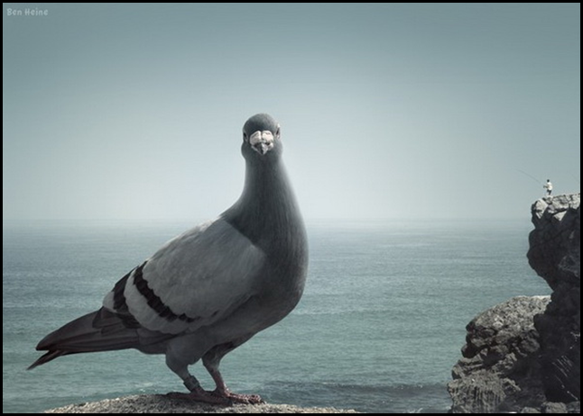 Фотохудожник Бен Гейне (Ben Heine)