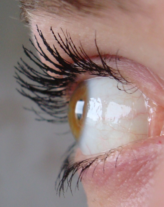 Тушь Max Factor 2000 Calorie , max factr false lash effect (552x699, 131Kb)
