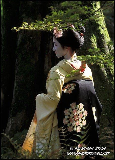 (455x630, 91Kb)