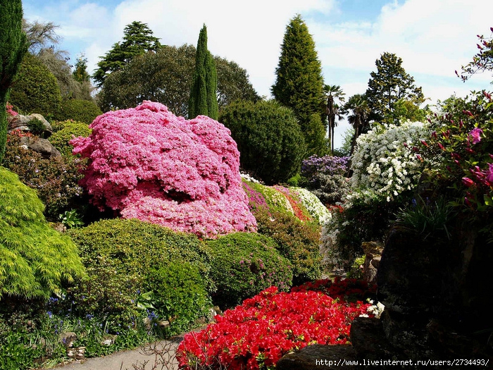 Весна в Leonardslee Gardens (Англия). (700x525, 356Kb)