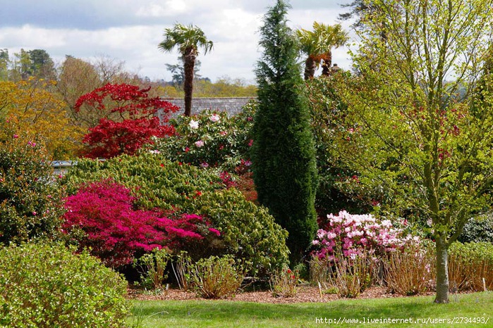 Весна в Leonardslee Gardens (Англия). (699x466, 189Kb)