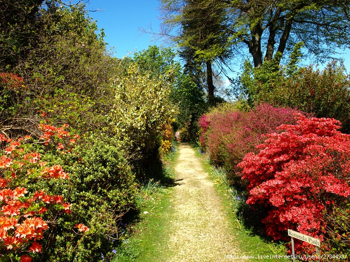 Весна в Leonardslee Gardens (Англия). (700x525, 533Kb)