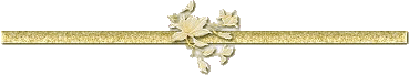 (369x68, 8Kb)