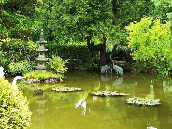 Японский чайный сад -(Hakone Japanese Tea Garden) 43840