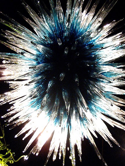 Музей изящных искусств (De Young Museum) -коллекция Dale Chihuly Glass Exhibit 29841